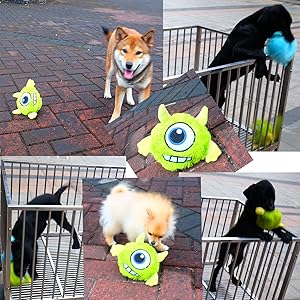 犬用のおもちゃ 楽天市場】チーズかくれんぼノーズワークトイ（ねずみ1匹付属