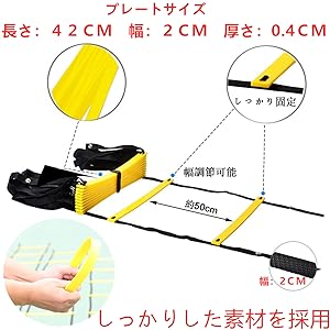 ラダートレー　21日終了 LSスカイラダー | はしご | 梯子、脚立のパイオニア 長谷川工業