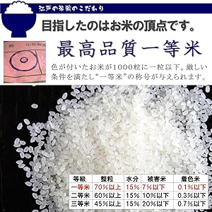 ぴ　特A地区産　1等米【令和２年産】精米済み　お米　20kg 令和6年産 特A 無洗米 さがびより 2kg×4袋 真空パック 米