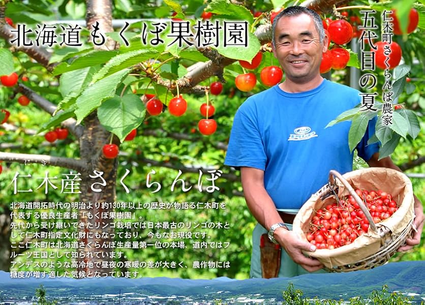 Amazon さくらんぼ 2kg 特選 紅秀峰 2l 1kg 2箱 北海道産 余市町仁木町 優良生産者農家直送 サクランボ もくぼ果樹園 食通信 さくらんぼ 通販 Amazon さくらんぼ 2kg 特選 紅秀峰 2l 1kg 2箱 北海道産 余市町仁木町 優良生産者農家直送 サクランボ もくぼ果樹園 食通信 さくらんぼ 通販