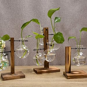 静物画 花瓶と植物 木製フレーム イタリア 静物画 花瓶と植物 木製フレーム イタリア