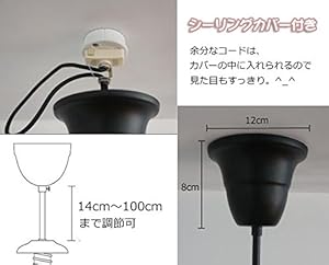 Amazon.co.jp : Venus 3個セット ボトルランプ ペンダント
