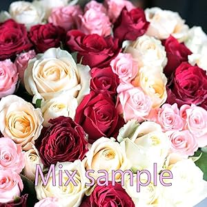 しょうちゃん　40㎝ 108本 ラッピング込み　クール便対応 Amazon｜BisesFlower(ビズフラワー)【クール便出荷】バラ 花束