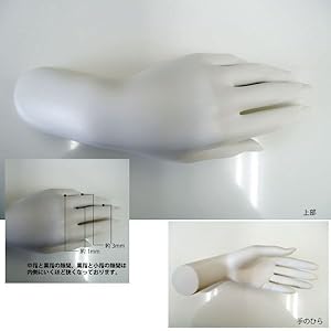 日本製 ハンドトルソー ハンドマネキン レディース ホワイト　F-SD33 Amazon.co.jp: ハンドトルソー ハンドマネキン レディース