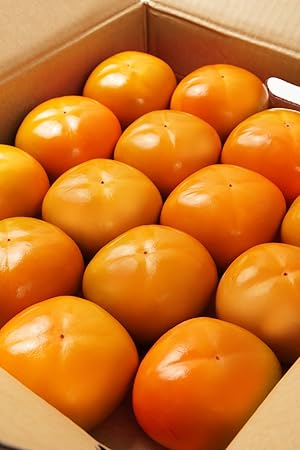 key 和歌山の柿 nagamine-kaki1.jpg