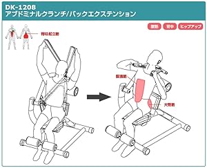 DAIKOU アブドミナル　クランチ　バックエクステンション　DK-1208 アブドミナル・クランチ/バックエクステンション ダイコウ DK-1208