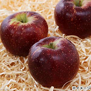 Amazon.co.jp: Swehoo 長野県小布施産 赤いりんご 60g ドライ