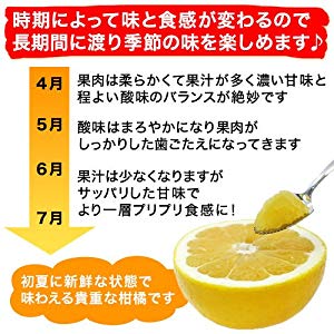 ミ*ミ様 農薬不使用の河内晩柑(愛♡晩柑)小玉10キロ！農家直送！宇和ゴールド ミ*ミ様 農薬不使用の河内晩柑(愛♡晩柑)小玉