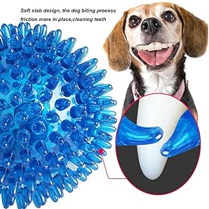 犬の歯ブラシ 噛むおもちゃゴム ボール 小中型犬 音が鳴る トレーニング Amazon | LaRoo 犬 おもちゃ ボール 音の出る 噛むおもちゃ 天然