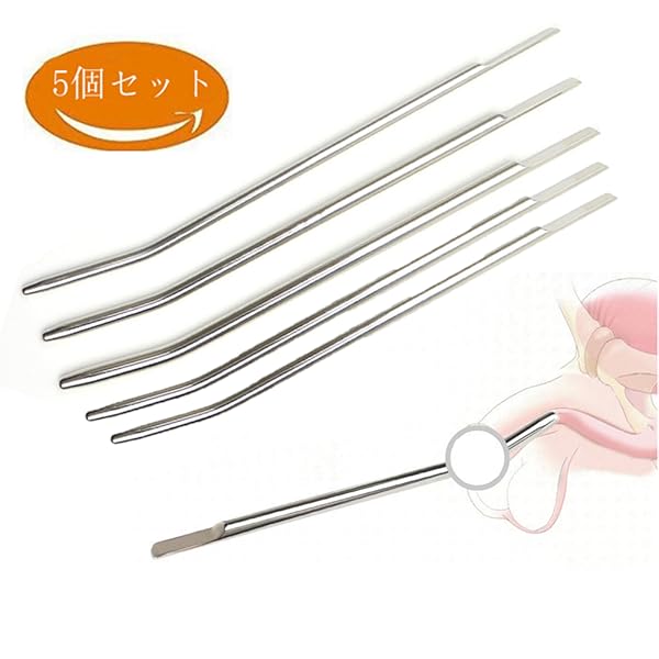 お値下げアンティーク　ステンレス製尿道ブジー12本セットケース付き アンティークステンレス製尿道ブジー12本セットケース付き