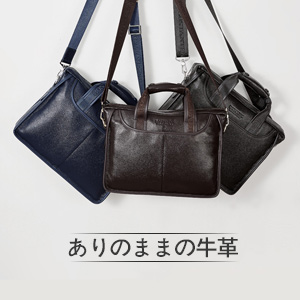 Amazon.co.jp: [ボスタンテン]BOSTANTEN メンズ ビジネスバッグ