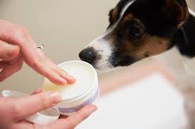 Small manufacture image 3