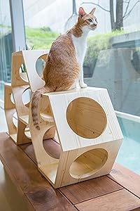 キャットタワー 壁取り付け型 キャットウォーク Amazon | MYZOO 六角ハウス キャットタワー キャットウォーク 猫