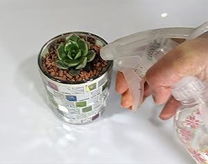 Amazon 翔美苑 多肉植物キット センペルビウム ミリタリーモザイクシリンダー 観葉植物 オンライン通販