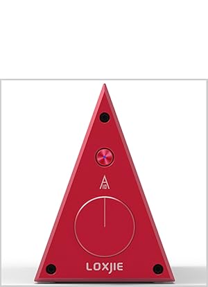 Amazon.co.jp: LOXJIE A10 パワーアンプ HI-FI ステレオ