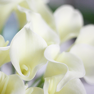 造花インテリア