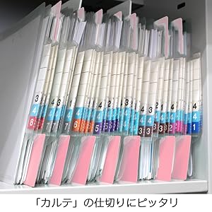 カルテ棚　仕切り　古道具 カルテ棚 仕切り 古道具 カルテ棚 - 古家具・古道具
