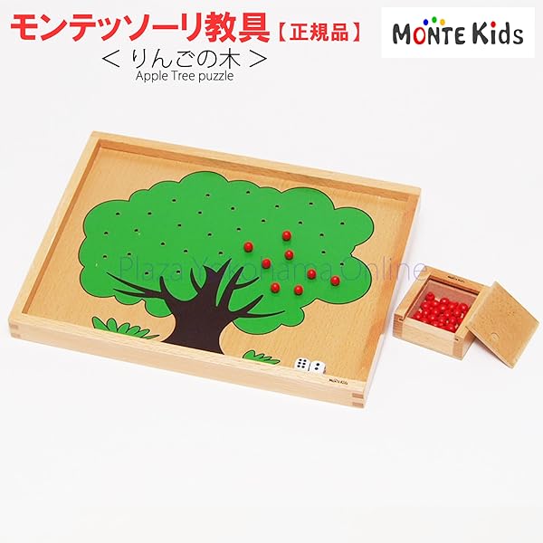 モンテッソーリ教育の基本概念完全マスター 全5巻 DVDセット モンテッソーリ教育の基本概念完全マスター 全5巻 DVDセット