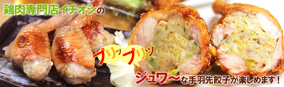 Amazon 水郷のとりやさん 国産鶏肉 手羽先餃子 20本セット お試しセット 5本入×4袋 (手羽 餃子