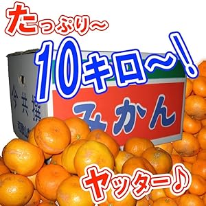 Amazon みかん 産地直送 和歌山 訳あり みかん １０ｋｇ 傷あり サイズ不揃い ご自宅用 Yamataベジフル Net みかん 柑橘類 通販