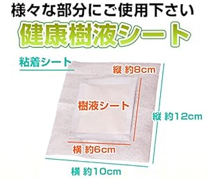 足裏シート 600枚300日分 健康樹液 ムクマネーゼDX むくみ スポーツ 足裏シート 120枚60日分 ムクマネーゼDX むくみ 健康樹液 疲れ