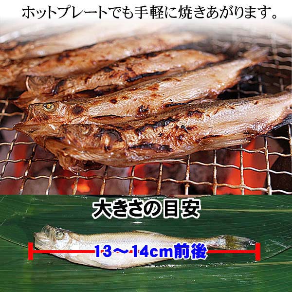 子持ちしゃもにゃん マルハニチロ 子持ち からふと ししゃも 3Lサイズ