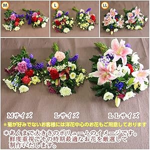 Amazon お盆 お彼岸 お供え花 仏花 墓花 Ll サイズ お任せ 洋風 お墓参り 一対二束 プリザーブドフラワー オンライン通販 Amazon お盆 お彼岸 お供え花 仏花 墓花 Ll サイズ お任せ 洋風 お墓参り 一対二束 プリザーブドフラワー オンライン通販