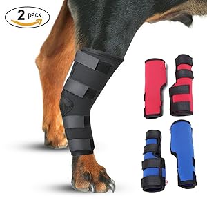 Amazon | 犬用 リハビリ 用品 小型犬 中型 大型犬 サポーター 足首 関節 プロテクター （後ろ脚用） 老犬介護 保健 傷口 骨折