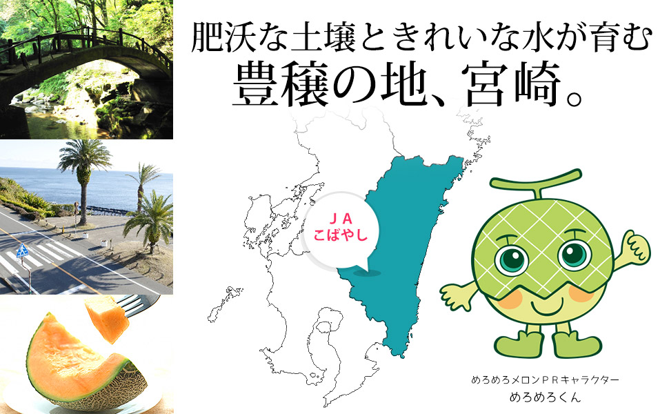 Amazon.co.jp: メロン めろめろメロン アールスメロン 3L～4L