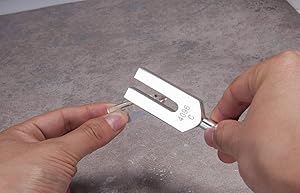 音叉　セット　biosonics 528 4096 Amazon.co.jp: 【BIOSONICS社正規品】 DNAチューナー 音叉 528