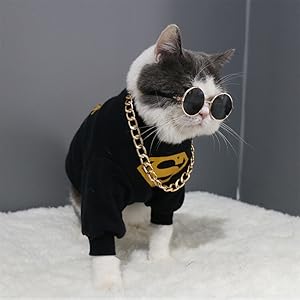 Amazon | OUYOU ペット用メガネ 猫用メガネ 犬用眼鏡 日焼け対策