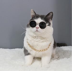 王一博生日限定メガネ　ヒョウ猫メガネ 限定グッズ ねこ型コンパクトミラー 鴻月 ねこ博覧会 B KOUMR1｜郵便局の