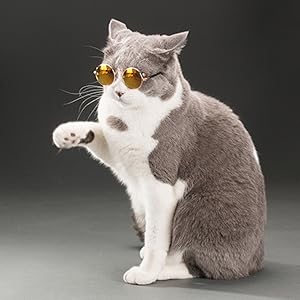 王一博生日限定メガネ　ヒョウ猫メガネ 限定グッズ 71QA6UCkkkL._UF350,350_QL80_.jpg