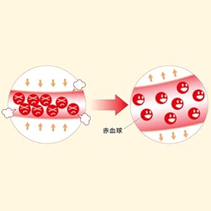 LION - ひとみちゃん♪ライオン トマト酢生活 トマト酢 60本 Amazon.co.jp: 特定保健用食品：ライオン 血圧が高めの方に適し