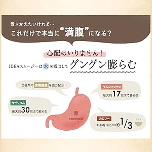 Amazon ホワイトココナッツスムージーダイエット ココナッツヨーグルト味 160酵素mix イデア Idea ダイエット