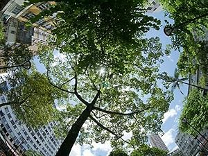 Amazon | (バシュポ) Pixco CCTVレンズ 超広角8mm f/3.8