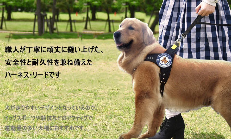 犬用ハーネス リード 2点セット Ezom 上質 中型犬 大型犬 おしゃれ ハーネスリードセット ショート ロングリード しつけ用品 人気 出かけ M ドッグ 牽引ロープ 丈夫 胴輪 ペット用品 犬用ハーネス リード 2点セット Ezom 上質 中型犬 大型犬 おしゃれ ハーネスリードセット ショート ロングリード しつけ用品 人気 出かけ M ドッグ 牽引ロープ 丈夫 胴輪 ペット用品
