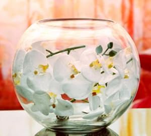 Amazon | SACHI ガラス 花びん テラリウム 観葉植物 インテリア