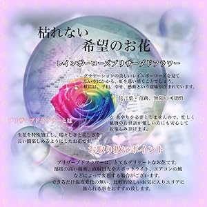 ローズベア　レインボー   フラワードール　L ローズベア レインボー フラワードール L