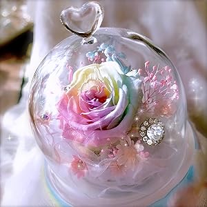 Amazon｜【 高級レインボーローズ専門店 】パステルレインボー