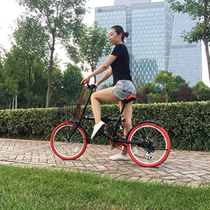 Amazon LUCK store 折りたたみ自転車 20インチ シマノ6段変速 カゴ