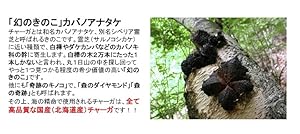 国産原料 国内製造 海の精命 UMI NO SEIMEI Amazon | 国産原料 国内製造 海の精命 UMI NO SEIMEI | TO-PLAN