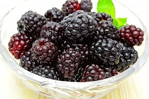 冷凍ブラックベリー（ぽぽ美） 冷凍ブラックベリー（ぽぽ美） Amazon | 築地の王様 冷凍