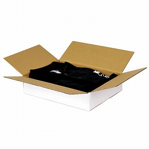 Amazon | ダンボールワン ダンボール （段ボール箱） A4・薄型