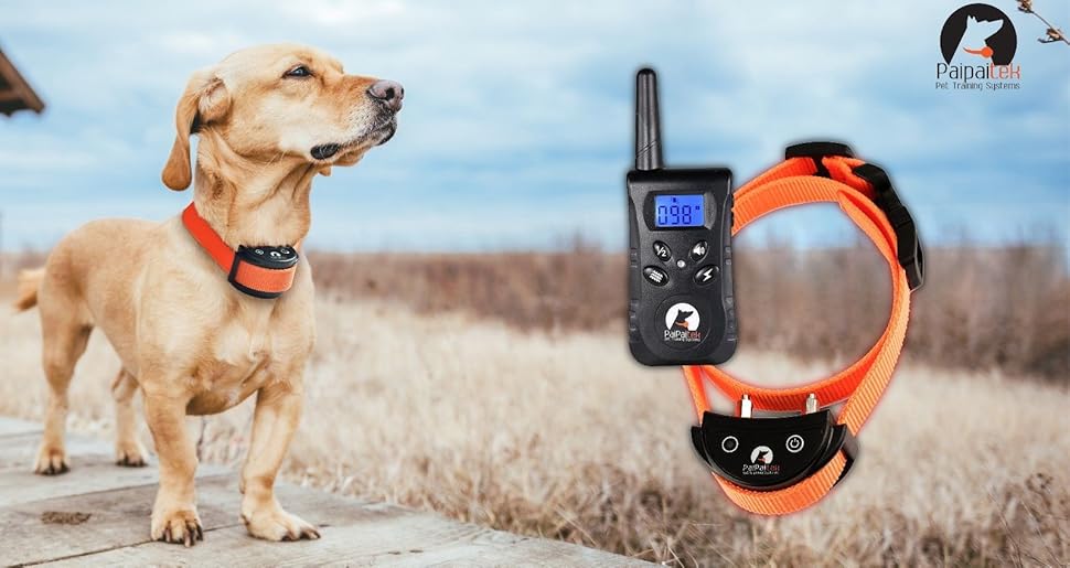 Wanbull EM2IM しつけ用首輪 ワンブル「リニューアルモデル」（1年補償付き） : エクスン