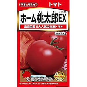 Amazon.co.jp: ITANSE トマト苗 ホーム桃太郎トマトEX