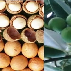 Small manufacture image 5