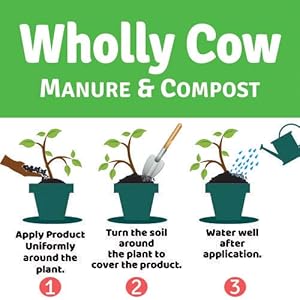 Small manufacture image 3