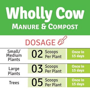 Small manufacture image 5