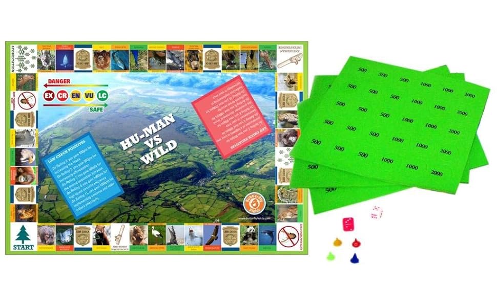 Buy Butterflyfields Conservation of Wildlife Board Game, Learn